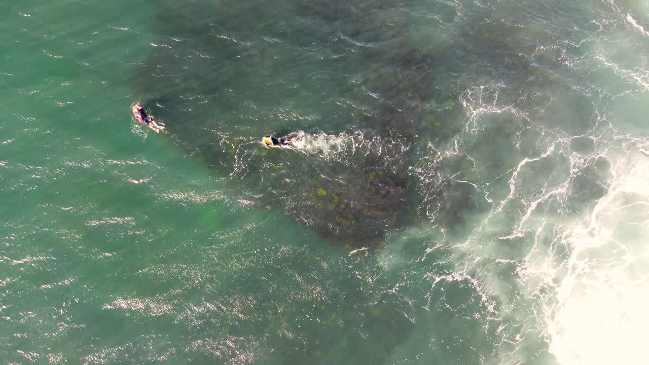 tomas de drones de bodyboarders flotando y remando en la costa central del océano pacífico nsw australia 3840x2160 4k