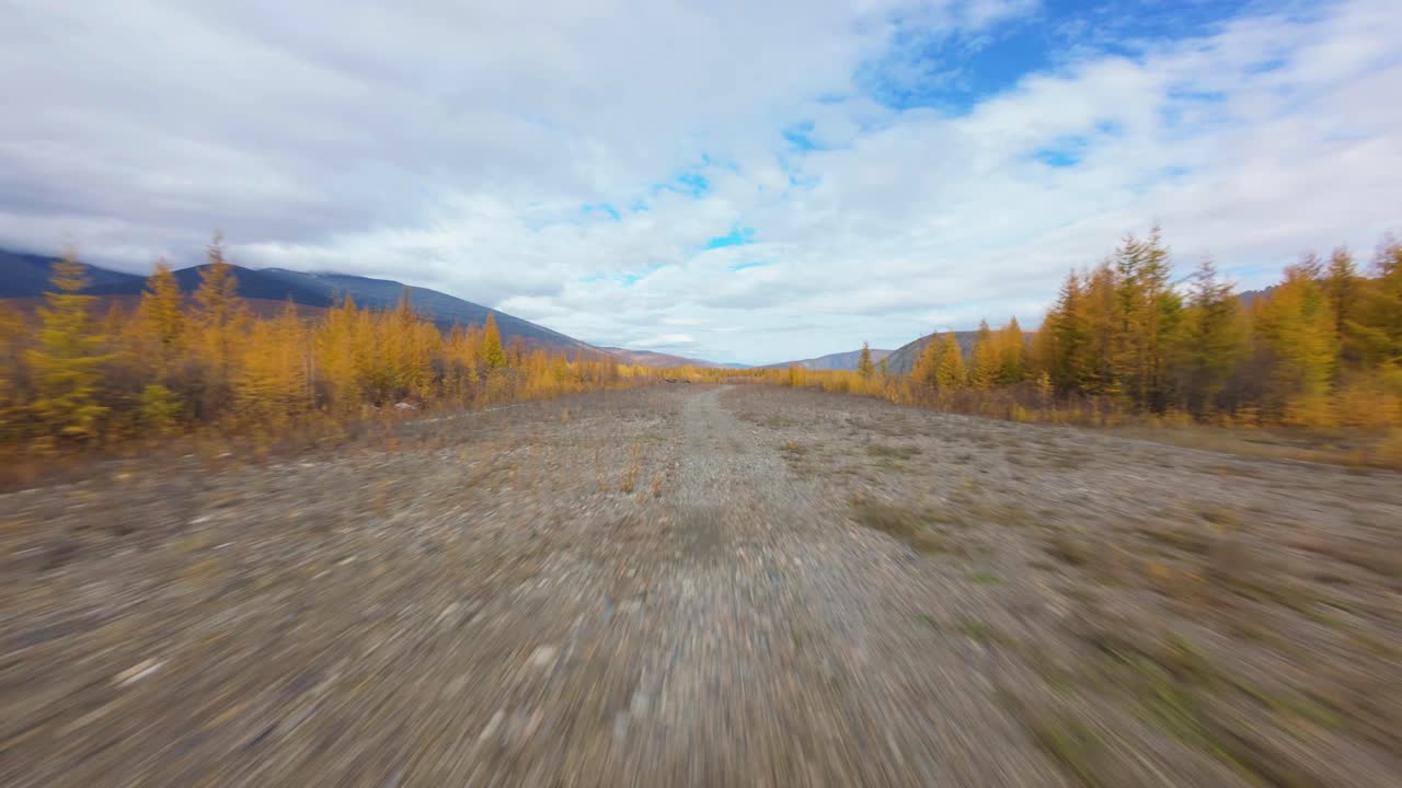 Experience the breathtaking beauty of autumn as vibrant orange and yellow trees stretch across the landscape, revealing a peaceful mountain backdrop under a vast, blue sky.