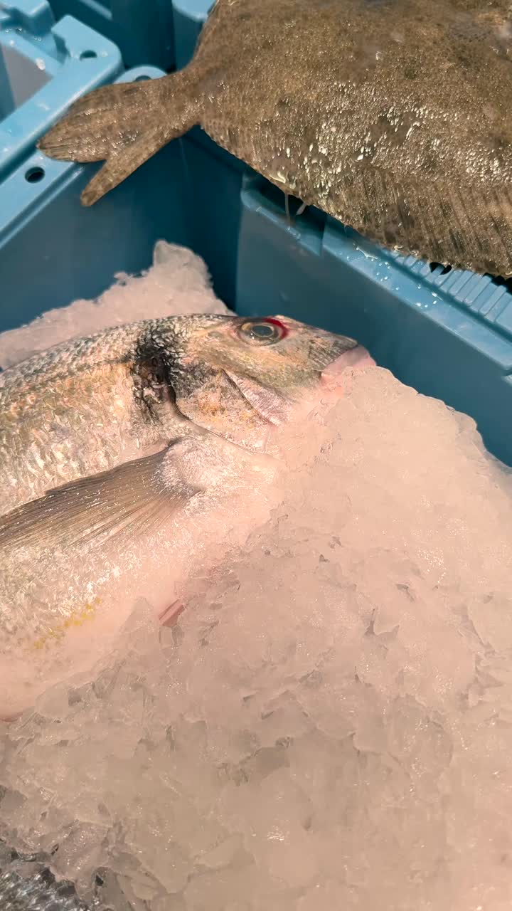 pescado fresco en un mercado