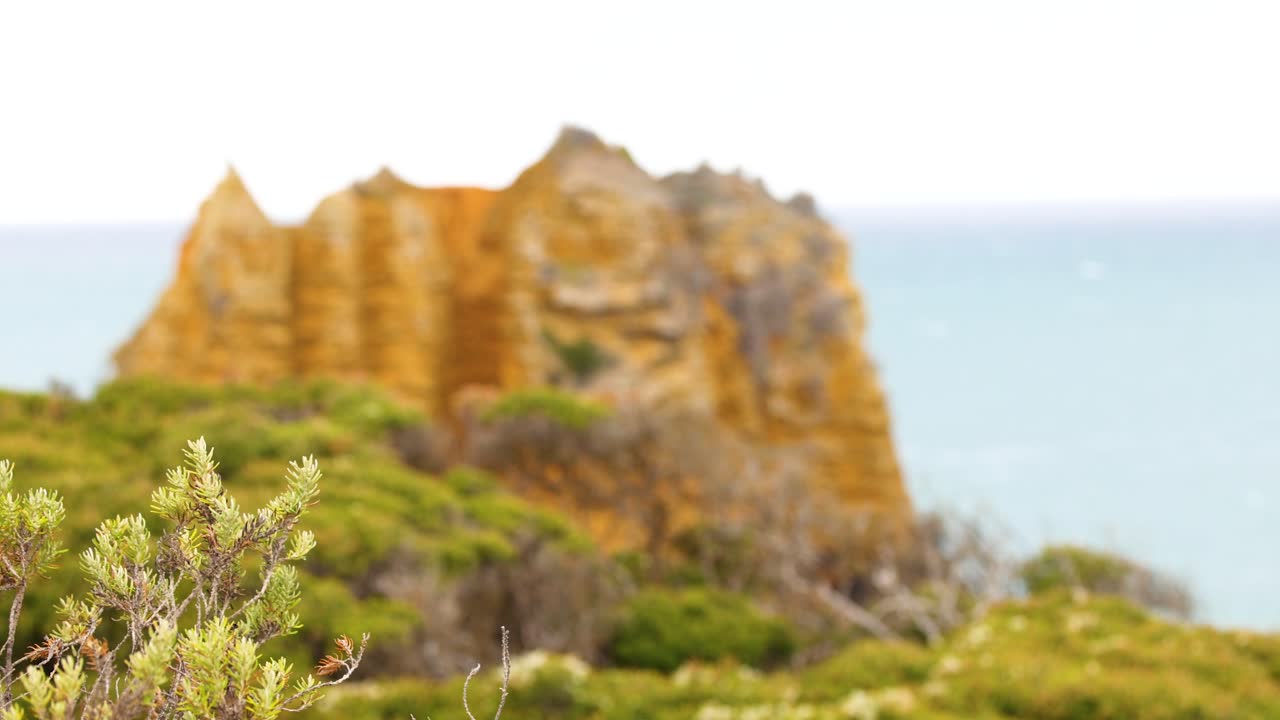 Golden cliffs and lush greenery under bright daylight at Port Campbell, Australia. The camera captures a serene coastal landscape