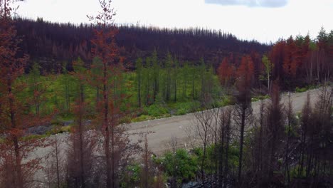 drone images show the blackened areas of the fires in lebel-sur-quévillon in quebec
