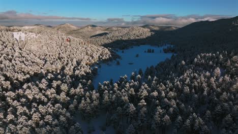 evergreen meadows conifer colorado aerial drone colorado sunny forest sunset winter trees cold frozen deep snow december north turkey creek rocky mountains town front range forward motion