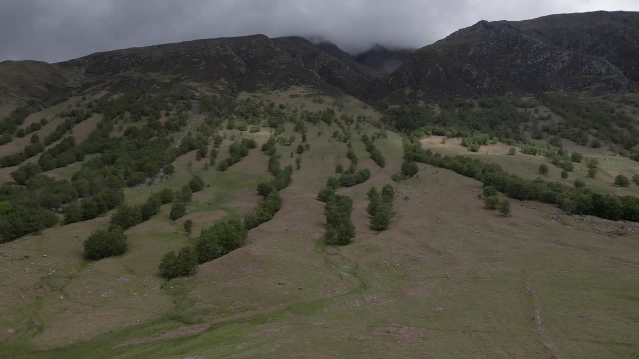 imágenes aéreas de drones de 4k que se acercan a los árboles en la ladera de la montaña en las tierras altas escocesas, escocia, reino unido