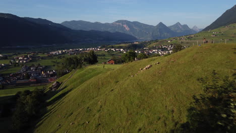 Ländliches-Hügeliges-Gebiet-Mit-Viehbestand-Am-Stadtrand-Von-Luzern,-Schweiz
