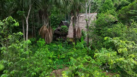 house tropical jungle in amazon, south america