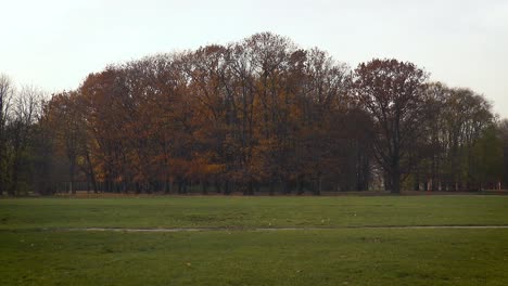 trees with autumn leaves in pole mokotowskie park in warsaw, poland