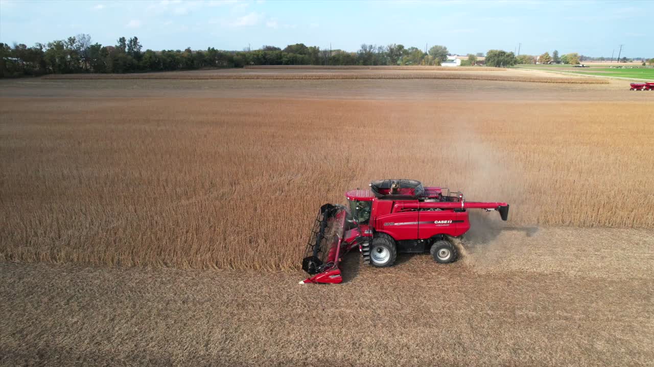 한 농부가 위스콘신 북동부에서 콩 작물을 수확하고 있습니다.