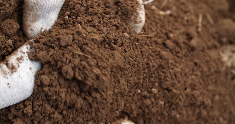 Farmer-Examining-Soil-In-Hands-Agriculture-2