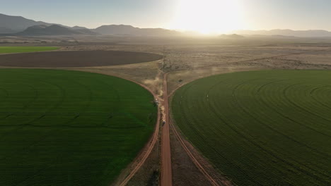 Aerial-shot-of-car-driving-on-dirt-road-in-near-pivots-with-green-farm-growth-in-Willcox,-Arizona,-wide-drone-shot