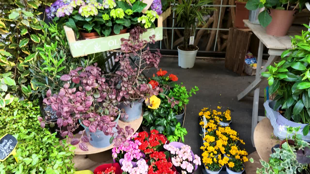 Ein langsamer Aufwärtsschwenk enthüllt leuchtende Frühlingsblumen und Pflanzen vor einem Pariser Blumengeschäft.