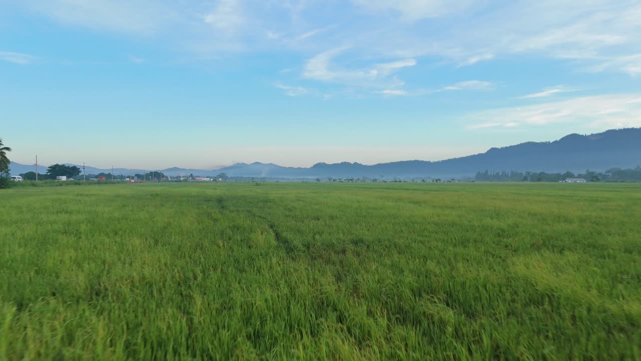 ทุ่งนาข้าวที่เงียบสงบพร้อมวิวภูเขา