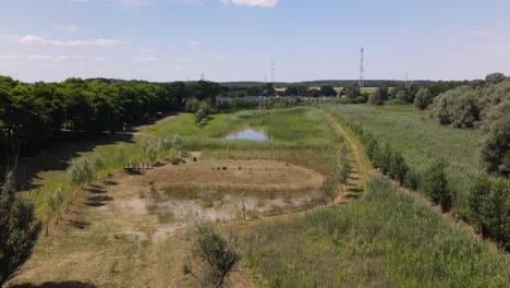 Birds-fly-over-drying-pond-in-small-village-of-Batya,-Hungary,-aerial-view