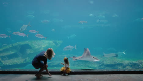 mother with daughter at aquarium looking at beautiful fish swimming in tank little girl observing marine animals with curiosity having fun learning about marine life with mom in oceanarium