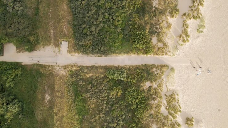 Vista aerea dall'alto di un sentiero che attraversa dune verdi e porta a una spiaggia deserta nei Paesi Bassi all'alba
