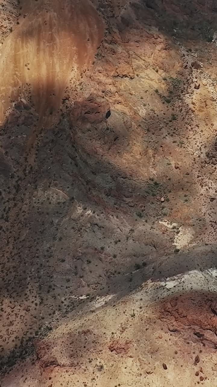 Vista aerea di diverse morfologie del territorio negli Stati Uniti durante il mezzogiorno