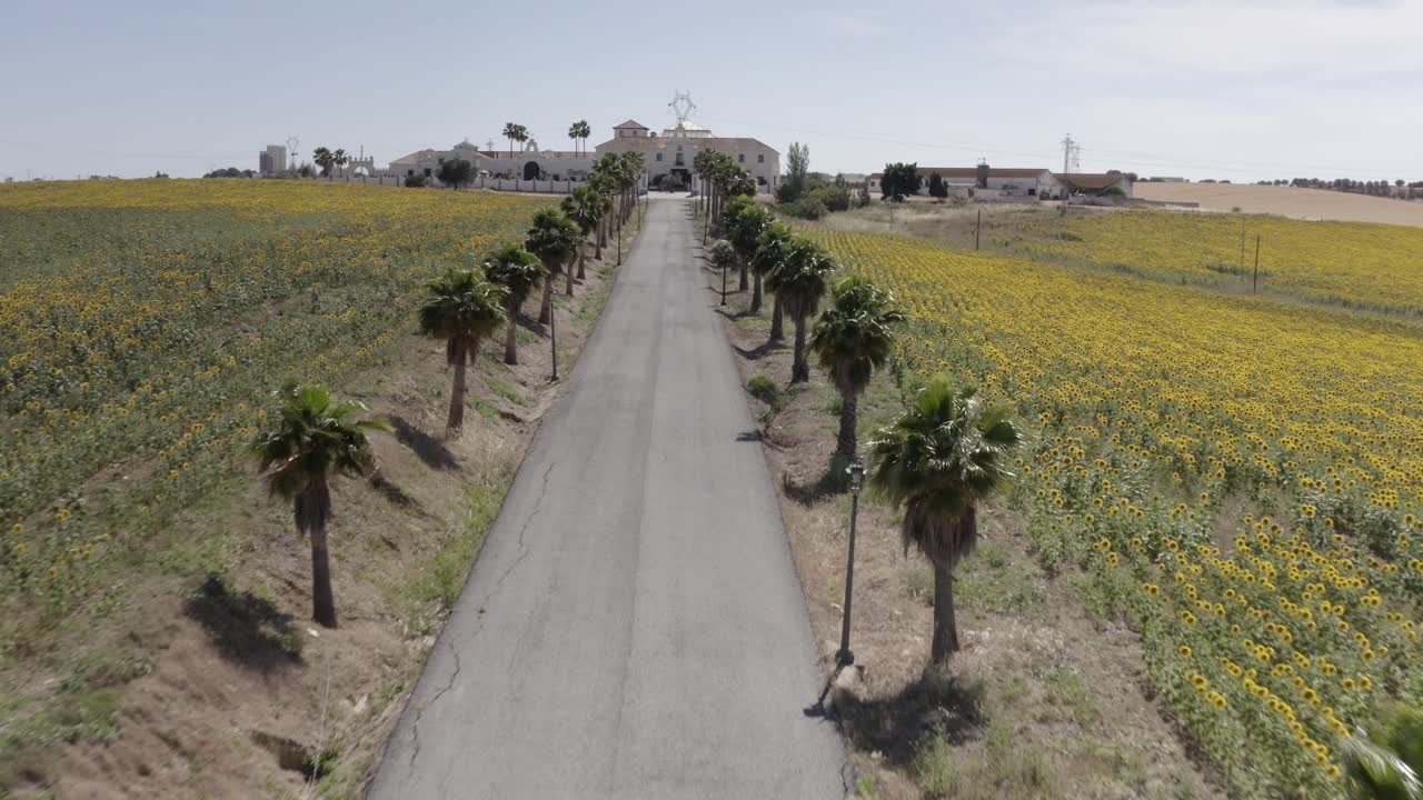 꽃을 가로질러 스페인의 부지에 이르는 시골 도로