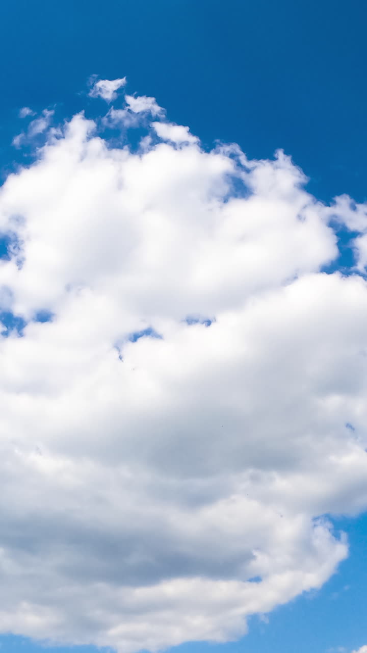 Amazing azure sky with white fluffy clouds. Sun shining brightly and lighting the clouds. Low angle view timelapse. Vertical video