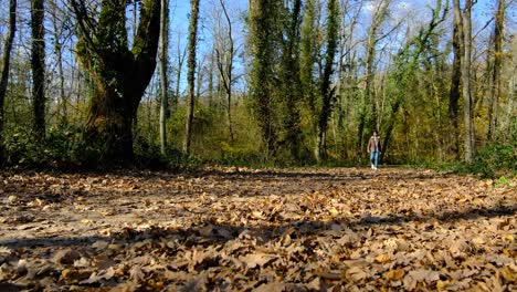 Hombre-Caminando-De-Otoño