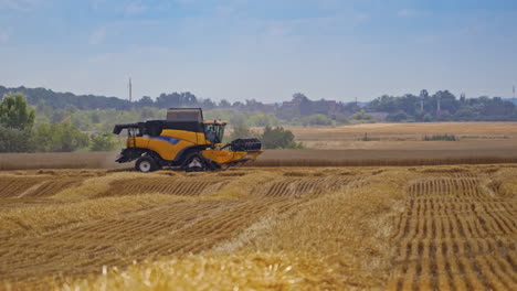 modern combine harvester on the field. agricultural machine in the rural place at seasonal works. food industry concept.