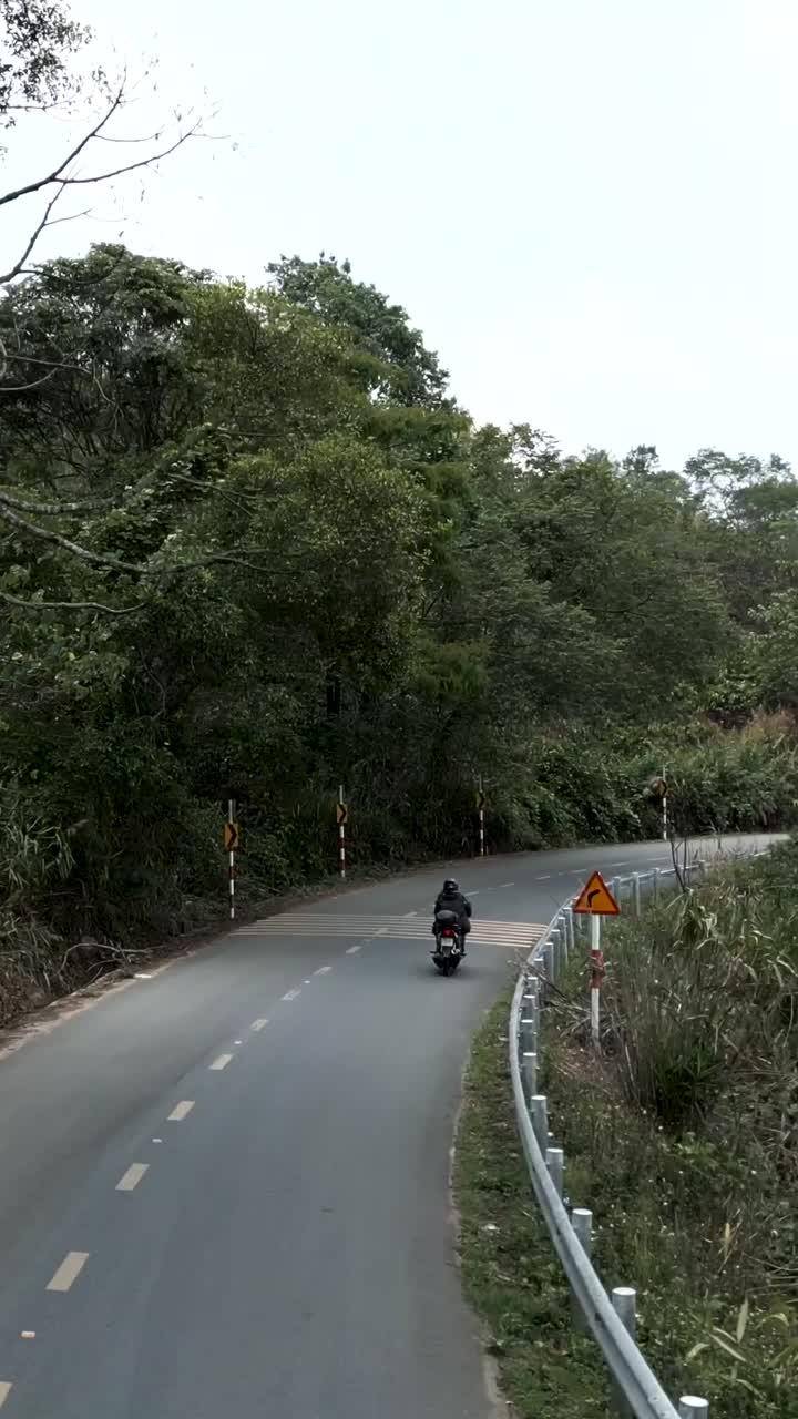 Motorcycle on a winding road through a forest
