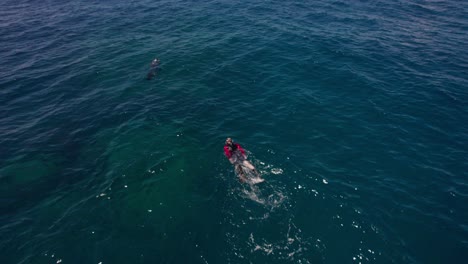 Freedivers-on-a-reef-outside