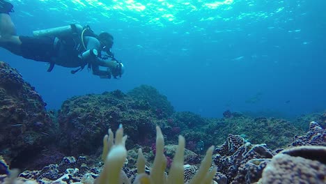 a 60 fps video of an underwater cameraman taking photos in the ocean of marine life with underwater equipment and lights