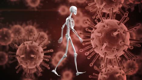 animation of human skeleton walking over covid 19 cells floating