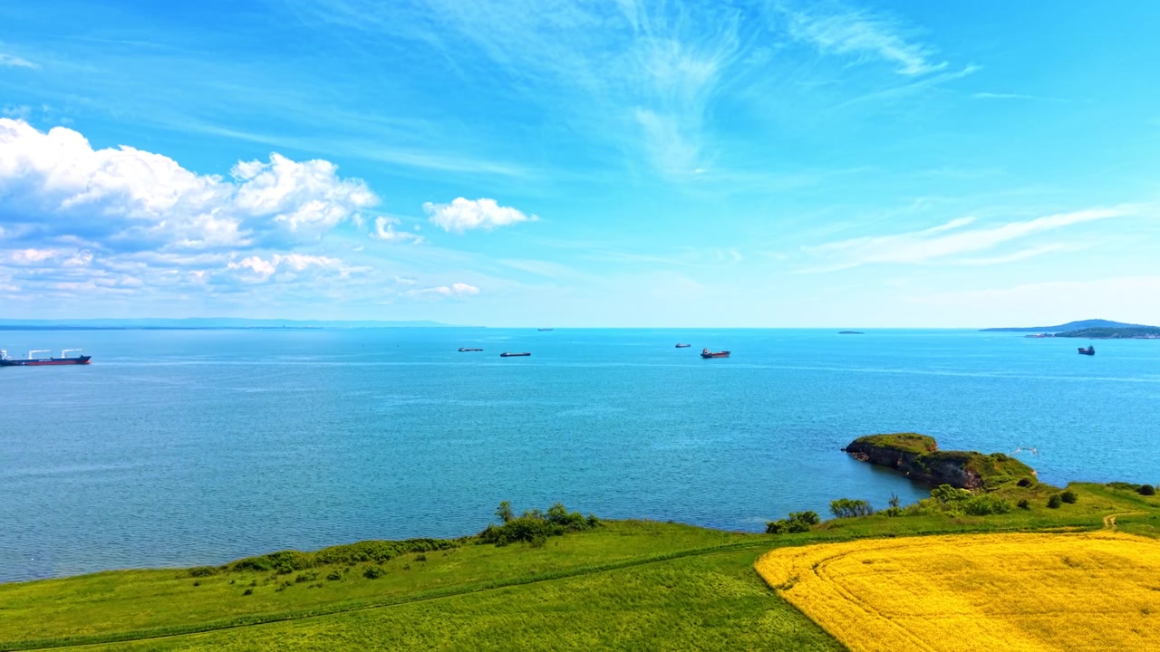 船のある菜の花畑と海の空撮。曇り空の下、青い海の隣に咲き誇る黄色の菜の花畑と緑の牧草地、貨物船が浮かぶドローン撮影