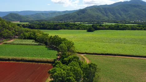 澳洲昆士蘭州凱恩斯 (cairns) 綠色山脈和田野的田園風景 - - 無人機拍攝