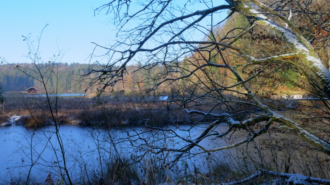 toma panorámica de una cabaña de madera en un lago en baviera, disparada a través de ramas