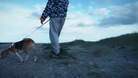 4k outdoor seaside child and dog walking on beach