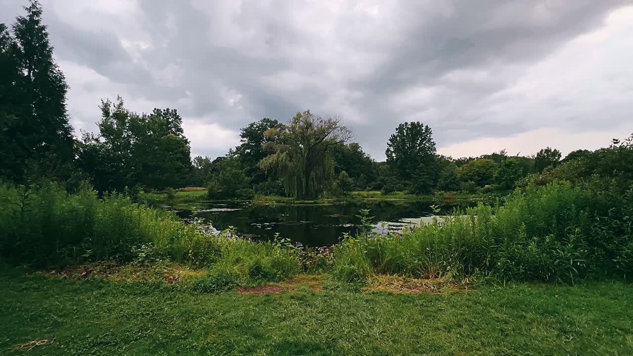 숲 속의 연못에서 구름이 많은 날