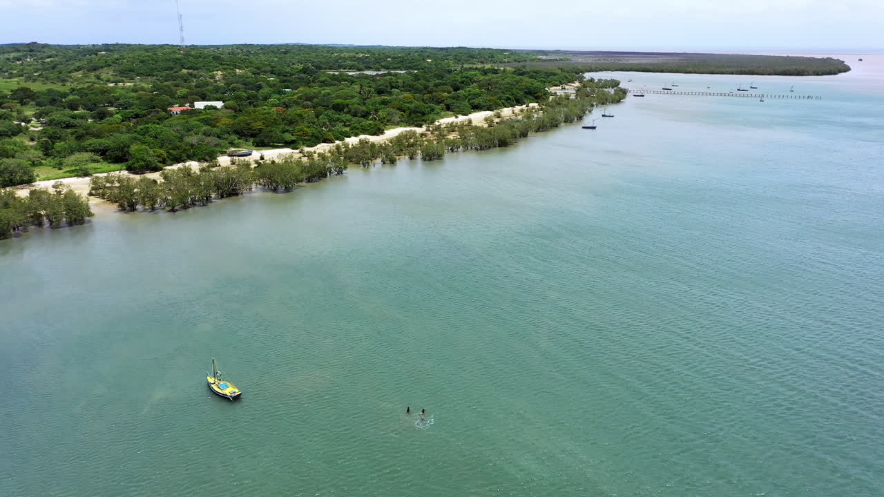 Let's go for a quick swim