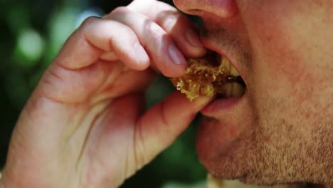 Beekeeper-eating-a-piece-of-fresh-honeycomb-