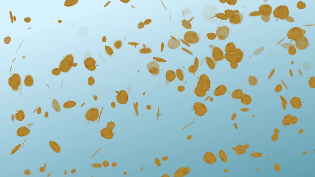 떨어지는 잎의 애니메이션 루프 가을