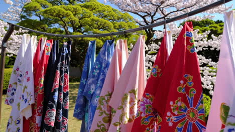 japanese kimonos hanging in a garden with cherry blossoms
