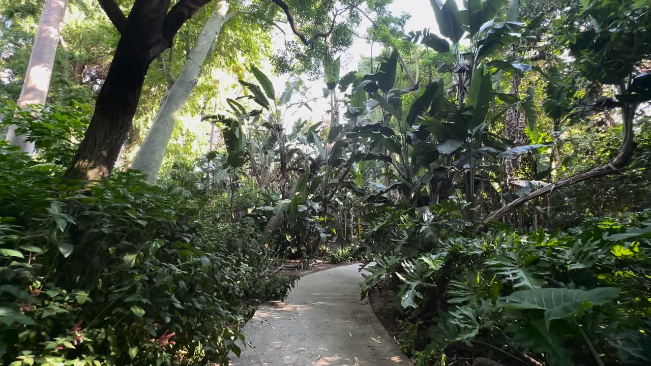 vista en primera persona de un paseo a través de un exuberante jardín botánico verde