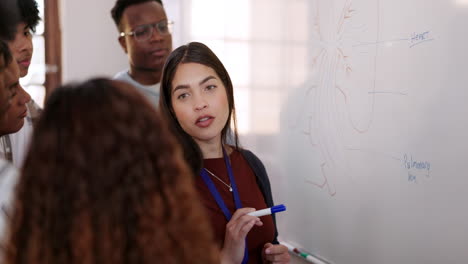 whiteboard, teaching and professor with students