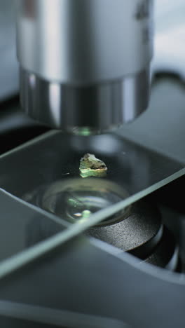 microscopic sample observation