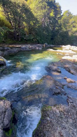 flowing stream in patagonia, clear water running over rocks surrounded by lush trees