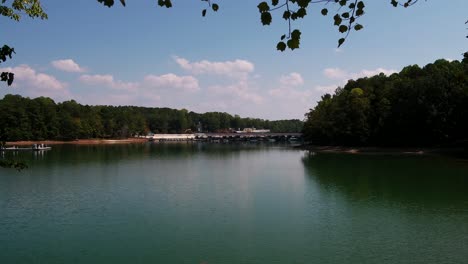 Droning-through-trees-to-reveal-Lake-Lanier-island-in-Georgia