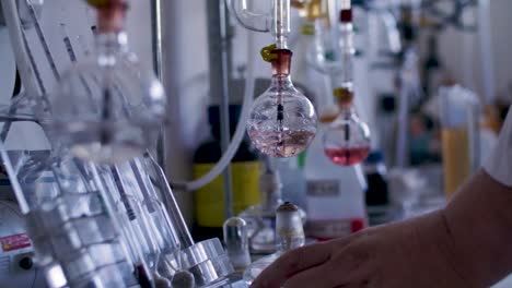 chemist inside the laboratory during the analytical testing through the wine production process