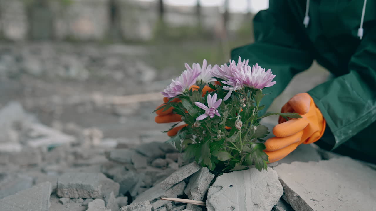 Bunch of flowers in stones. Ecologist in protective gloves and suit touching fresh flowers in place with chemical attack. Ecological problems.