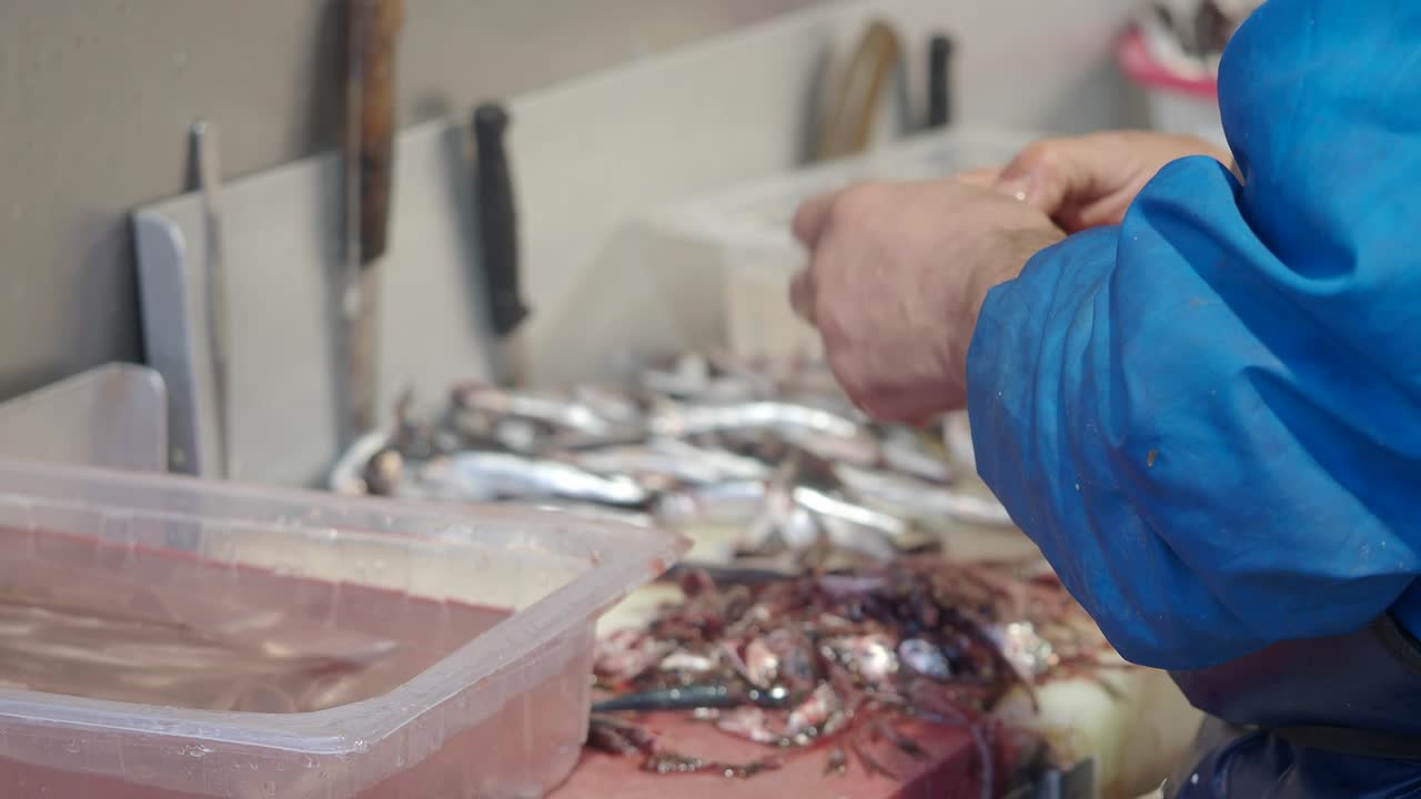 Poissonnier nettoyant des anchois frais à la main