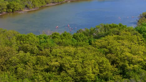 drone rises to reveal flock of flamingos feeding in secluded mudflats