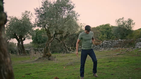 serious farmer carrying basket evening garden. male picking up olives vertically