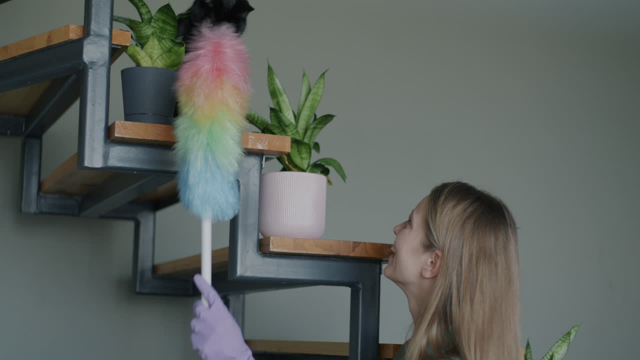 Woman cleaning shelves with a rainbow duster, cat watching