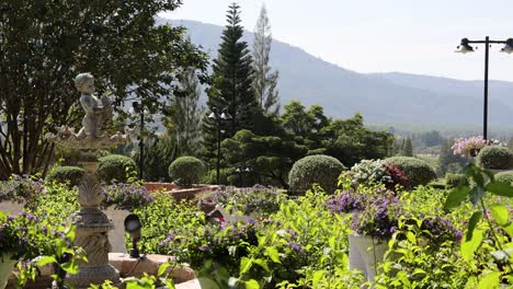 timelapse of a garden through different seasons