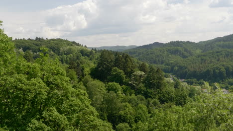 nature forest landscape, green trees on hills