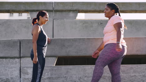 fitness, exercise and fat woman with personal